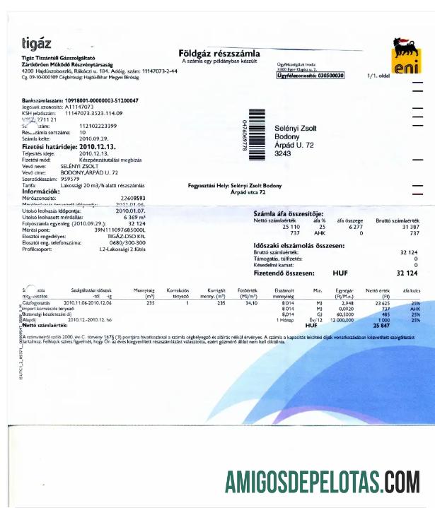 imprimível HUNGRIA TIGAZ Conta de Serviços Públicos Word e Modelo PDF